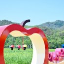 청송축산 이미지