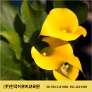 봉덕3동행정복지센터 이미지