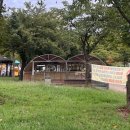 대가미공원 앞 이미지