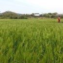 만연농장 이미지