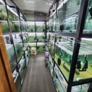 아쿠아수족관 이미지