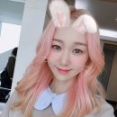 핑크헤어타운 이미지