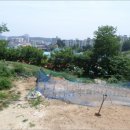 고성리-12 이미지