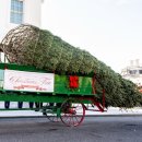 (주)트리슨 이미지