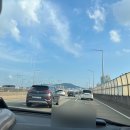 파블박사 이미지