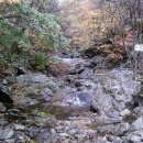 치악산 사슴농장 이미지