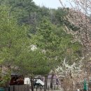 삼척엘림캠핑장 이미지