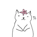 포장킹