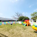 나무어린이집 이미지