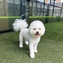 놀러오개 이미지