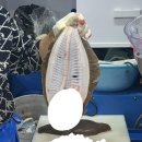 부산광역시 수영구 광안해변로 44   (남천동) 남천마리나 앞 | [부산 남천] 부산 회 포장 추천 남천해변시장 통통상회 광어가 이렇게 단 거 였어요???