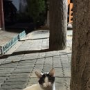 CU논공점 이미지