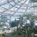 회산백련지 수상유리온실 이미지