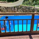 곰골스카이 이미지