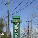 소래막회 | 초지항 바다 보면서 먹는 자연산 활어회 강화도횟집 수남호