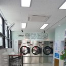 크린업24모종점 이미지