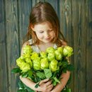 열매이야기 이미지