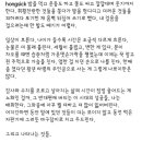 애호박 이태원 추모글인데 이미지