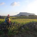 온평 마을회관 이미지