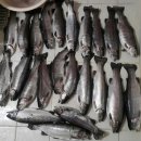 감악산낚시터 이미지