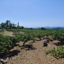 서홍사거리 이미지