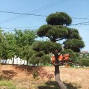 황등1농장 이미지