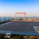 쿠키 태양광발전소 이미지