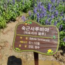 필봉산길 이미지