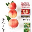 복자네복숭아