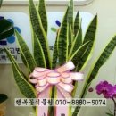 율하이비인후과의원 이미지