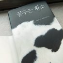 꿈꾸는황소 이미지