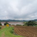 팔봉초등학교 이미지