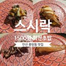 [중앙역 맛집] 스시락 1500원 회전초밥 재방문 후기