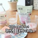 무인양품 봄한정 벚꽃 디저트 시리즈 솔직후기 맛이 좀...