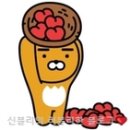 인테라주방가구 이미지