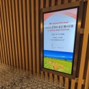 지케이 인터네셔널 | 2025 조지아 와인 페스티벌 시음회 후기 수입사 소개 및 와인 추천