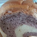 아빠랑 식빵이랑 이미지