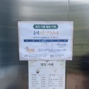 백일사 | 부산 가볼 만한 곳 “호천마을” feat. 사업비 31억 경사형 엘레베이터, 별빛카페, 데이트코스