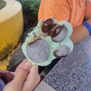 (주)노랑댕댕이 이미지