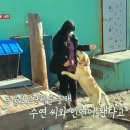 로이농장2 네이버블로그