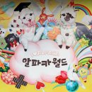 설날 가볼만한곳 홍천 알파카월드