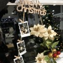 안나모자원 이미지