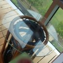 유리회관 이미지