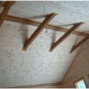 레드파인 이미지