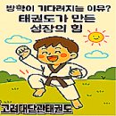 고려대단관태권도 이미지