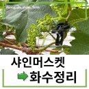 화수농장 네이버블로그