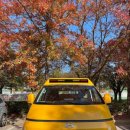 국가대표 희망 태권도장 이미지