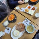 낭만고양이병원 | 첫눈까지는 낭만이지 그후로는 재난이야