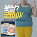 [필로테스,필로테스마이크로바이옴패치,다이어트,다이어트패치,붙이는다이어트] 건강과 다이어트 동시에...