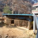 원주주유소 이미지